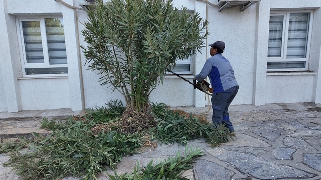 Bodrum Belediyesi'nden okullara bakım ve onarım desteği