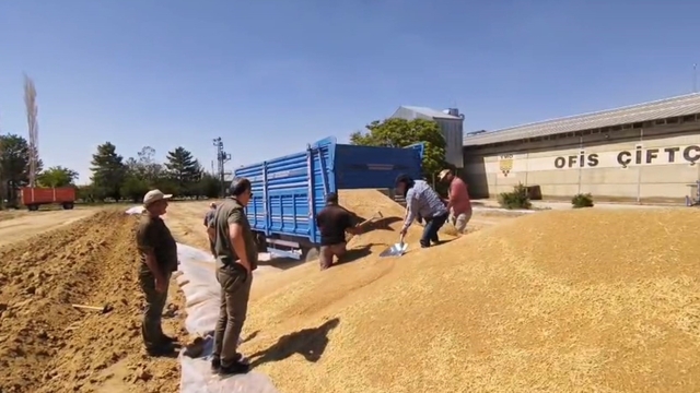 Konya'da TMO'dan 2 milyon tona yakın hububat alımı