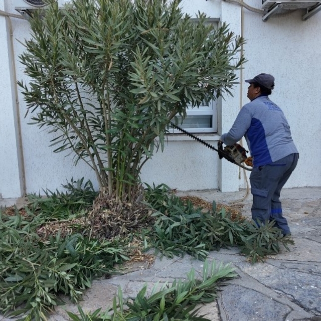 Bodrum Belediyesi'nden okullara bakım ve onarım desteği