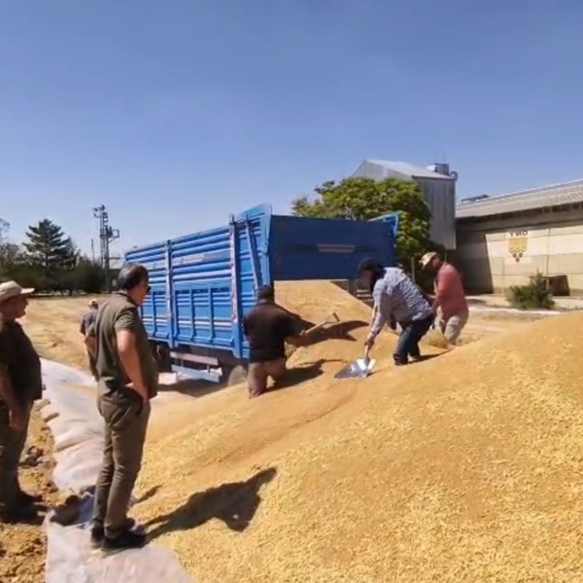 Konya'da TMO'dan 2 milyon tona yakın hububat alımı