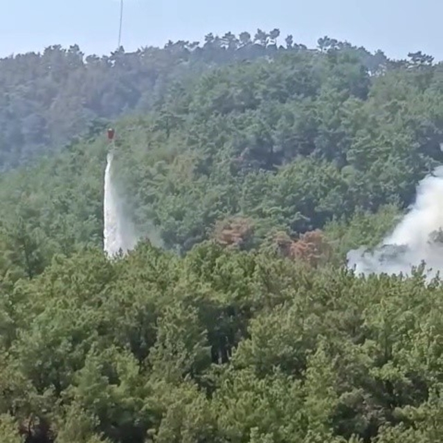 Soğutma çalışmalarının sürdüğü ormanlık alanda yeniden yangın çıktı