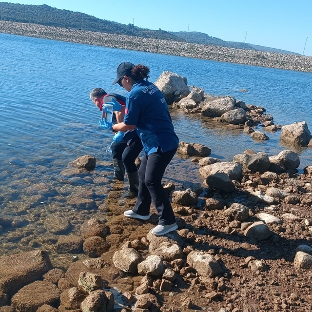 Çanakkale'de Ayvacık Barajı'ndaki toplu balık ölümleriyle ilgili inceleme b...