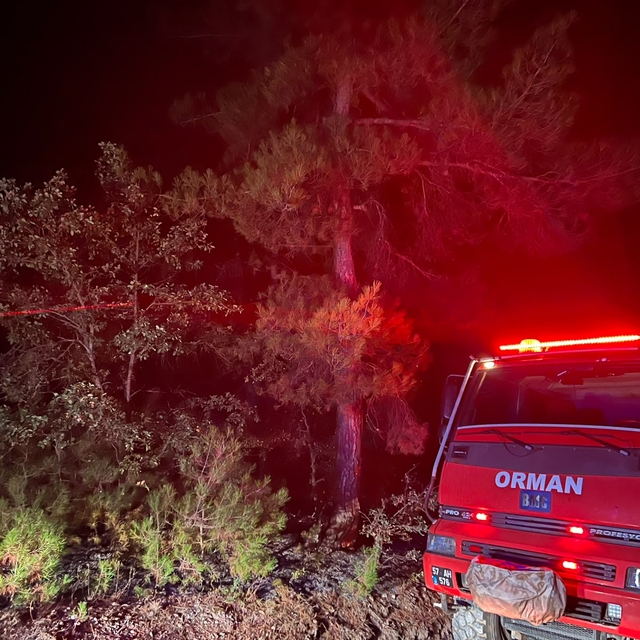 Saraydüzü'nde ormanlık alanda çıkan yangın söndürüldü