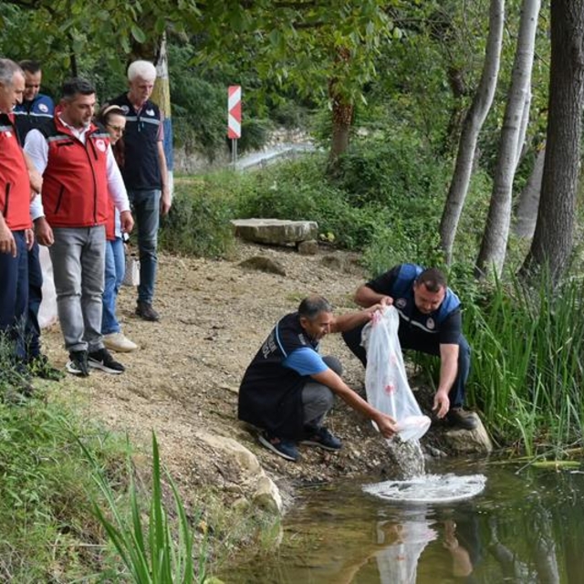 Ordu'daki göl, gölet ve barajlara 80 bin yavru sazan bırakıldı