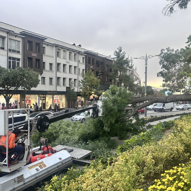 Konya'da tramvay yoluna devrilen ağacın altında kalan çocuk yaralandı