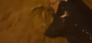 Yalova'da sel suları vatandaşı ve aracı sürükledi