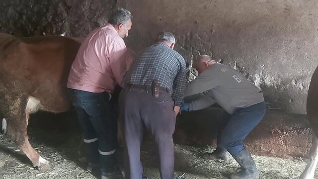 Aydıntepe'de yavru atık bildirimi üzerine saha çalışması yapıldı