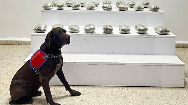 Van'da 10 kilo 111 gram esrar ele geçirildi