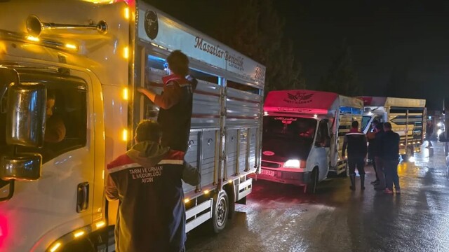 Çine Hayvan Pazarı denetimlerle yeniden açıldı