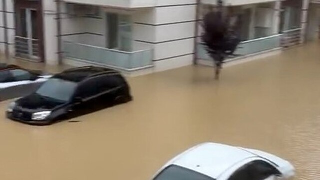 Sakarya'da dereler taştı, evleri su bastı