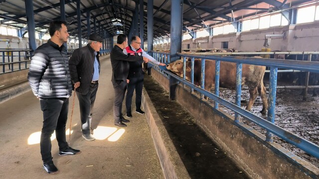 Bayburt'ta yüzde 50 hibe desteğiyle kurulan hayvancılık işletmesi incelendi