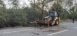 Tekirdağ'da fırtına; ağaç ve telefon direği devrildi