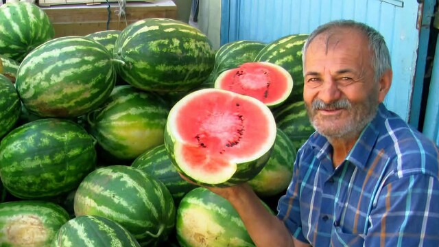 Araban Ovası'nda ikinci ürün güz karpuzu hasadı devam ediyor
