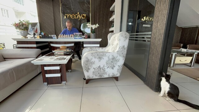 Matbaanın kapılarını sokak kedilerine açtılar