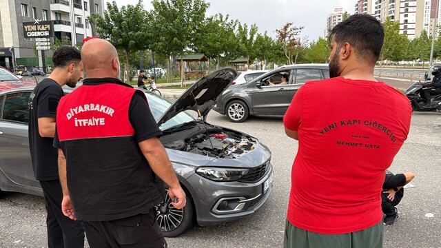 Diyarbakır'da otomobilin kaputuna giren yılanı vatandaşlar çıkardı
