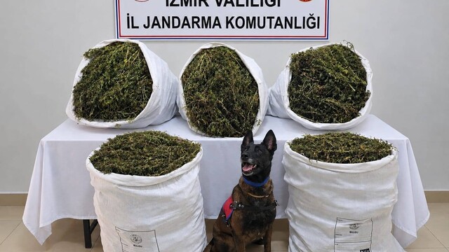 İzmir'de uyuşturucu operasyonu: 54 kilo 800 gram esrar ele geçirildi, 3 kişi tutuklandı