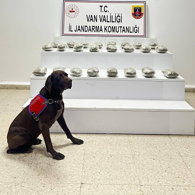 Van'da uyuşturucu operasyonu: 3 gözaltı