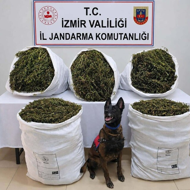 İzmir'de 54 kilo 800 gram kubar esrar ele geçirildi: 3 tutuklama