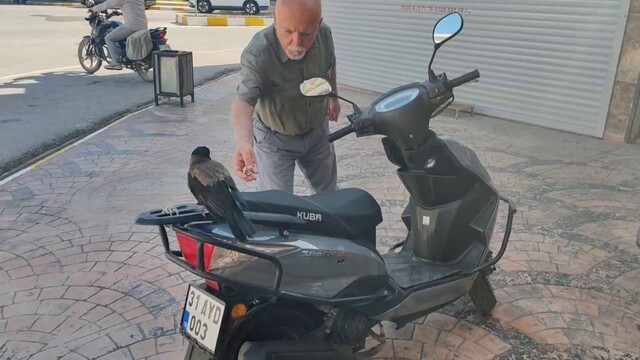 Mahallelinin neşe kaynağı oldu, sırra kadem basmasıyla esnaf 'kargamızı istiyoruz' çağrısında bulundu