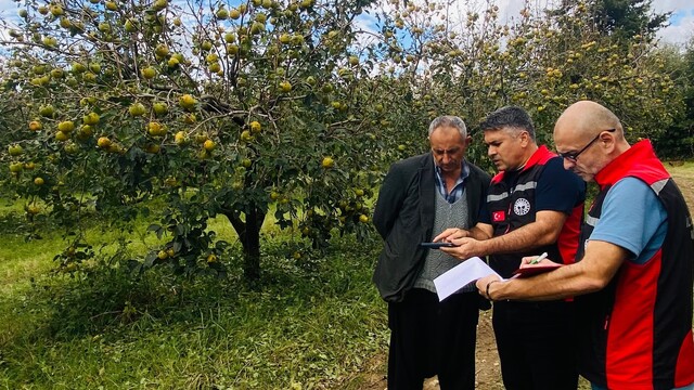 Kozan'da dolu hasarı için ön tespit çalışmaları başladı