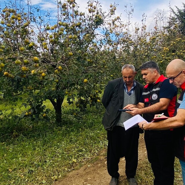 Kozan'da dolu hasarı için ön tespit çalışmaları başladı