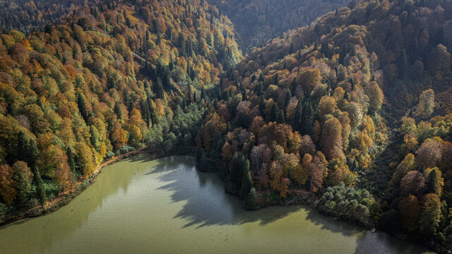 Artvin'deki Borçka Karagöl Tabiat Parkı sonbahar renklerine büründü