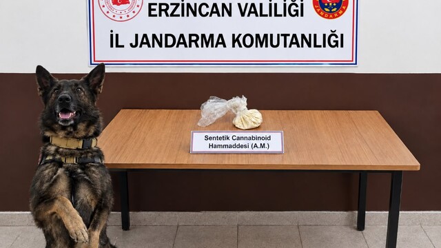 Erzincan'da uyuşturucu operasyonunda 2 şüpheli yakalandı