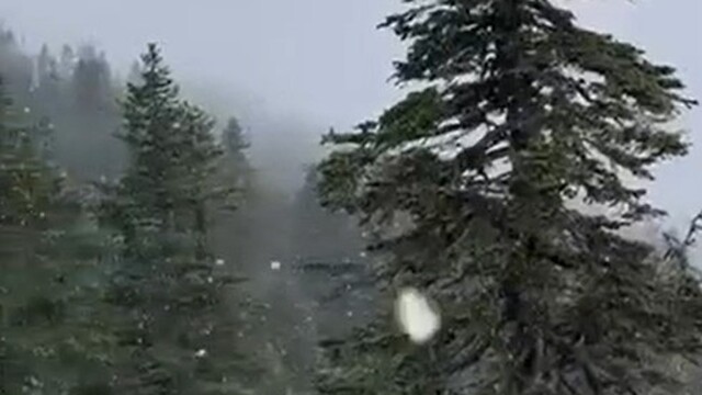 Uludağ'a kar yağdı