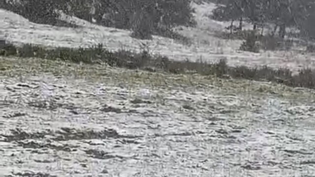Eskişehir Alpu ilçesinde kar yağışı etkili oldu