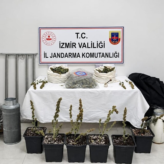 İzmir'de saksıda uyuşturucu yetiştiren şüpheli yakalandı