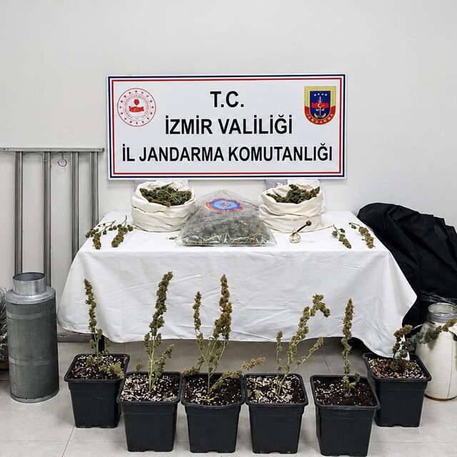 İzmir'de 5 kilo skunk ele geçirildi