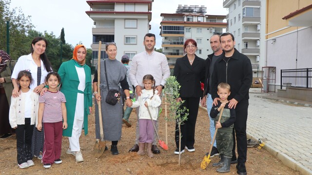 Alanya'da minik eller zeytin fidanlarını toprakla buluşturdu