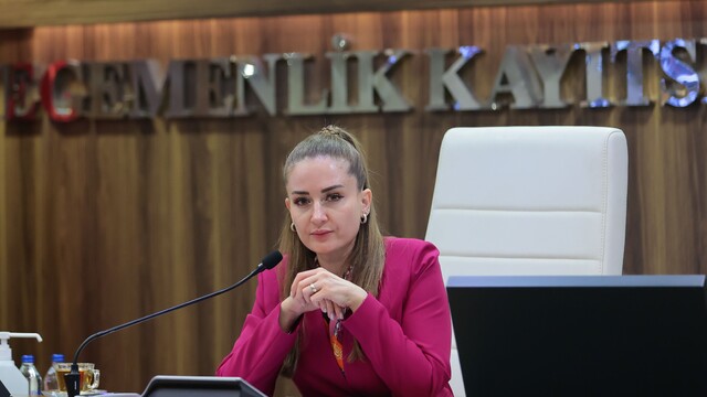 Başkan Vekili Özdemir: "Altıntaş çanağında biriken suyu denize ulaştırmak istiyoruz"