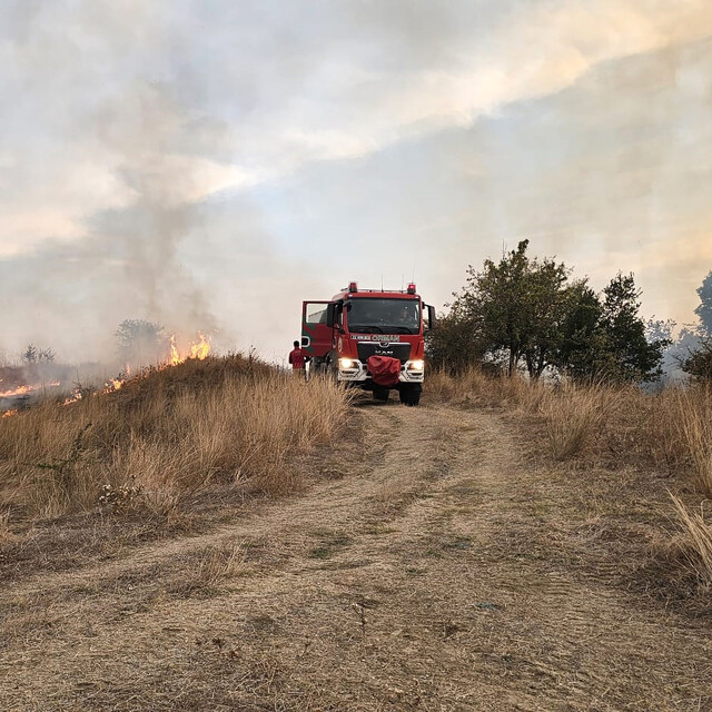 Edirne'de anız yakan 11 kişiye işlem yapıldı