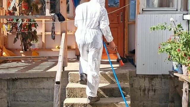 Kahverengi kokarcaya karşı kışlak mücadele