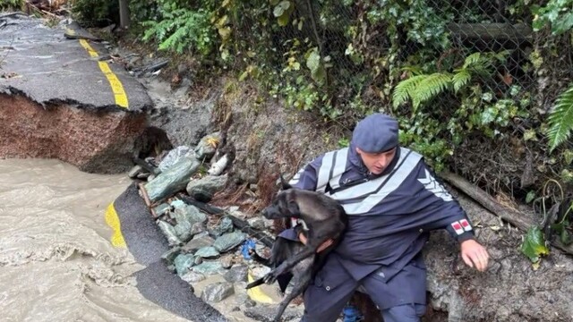 Jandarma sel bölgesinde canla başla mücadele ediyor