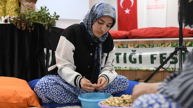 Osmaniye'de üniversiteli kızlar fıstık kırma yarışmasında kıyasıya mücadele etti
