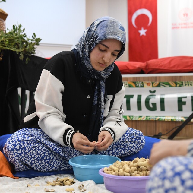 Osmaniye'de üniversiteli kızlar fıstık kırma yarışmasında kıyasıya mücadele...