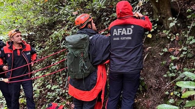 Kestane toplamak için gittiği ormanda ölü bulundu
