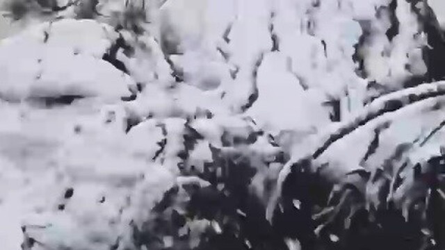 Muğla'ya sezonun ilk karı yağdı