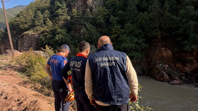 Artvin'de araç dereye düştü: 1 yaralı