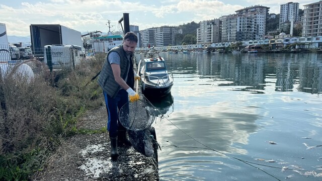 Balık çöplüğüne dönen liman temizlendi