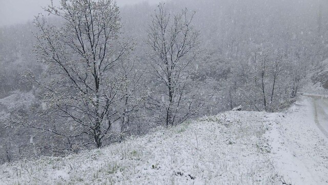 Manisa'nın yüksek kesimlerine kar yağdı