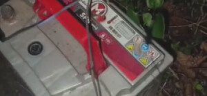 Ordu’da kaçak bıldırcın avında kullanılan 4 ses düzeneği ele geçirildi