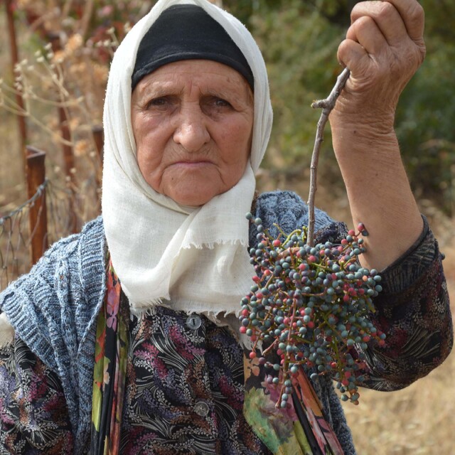 Annesiyle başladığı çitlembik mesaisini 78 yaşında sürdürüyor