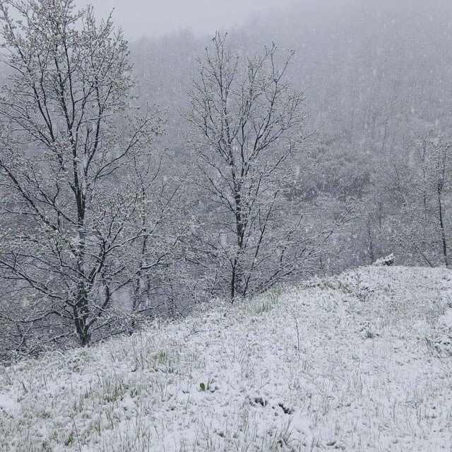 Manisa'nın yüksek kesimlerine kar yağdı