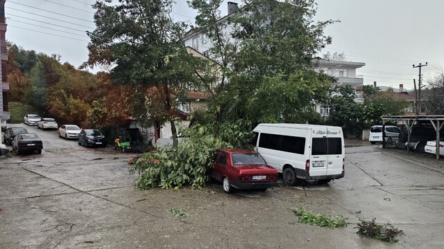 Kastamonu'da fırtına çatıları uçurdu, ağaçları devirdi