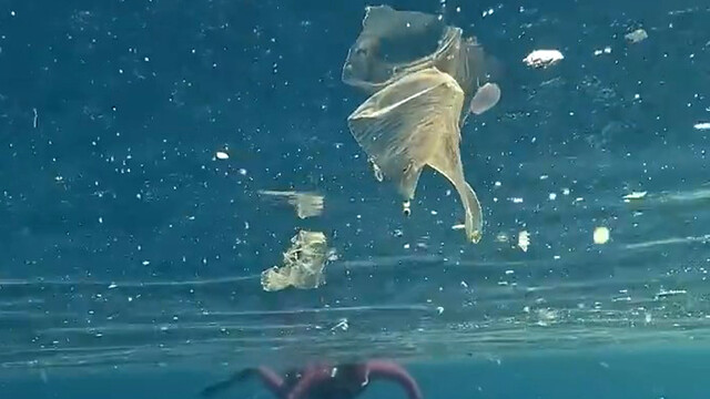 Yağışlar sonrası denizdeki plastik kirliliği kamerada