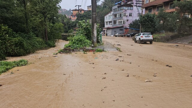 Zonguldak'ta şiddetli yağış etkili oldu