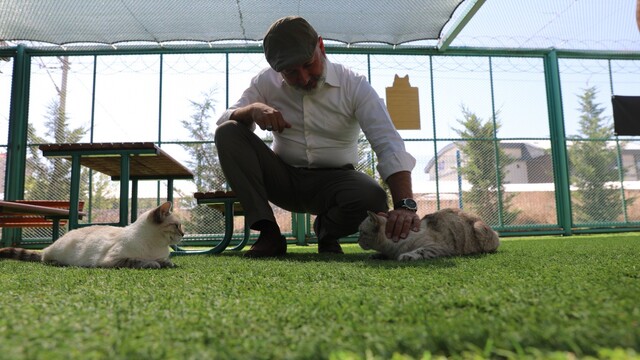 Kayseri'de ilk olan 'Küçük Dostlar Kedi Kasabası' ziyaretçi akınına uğruyor